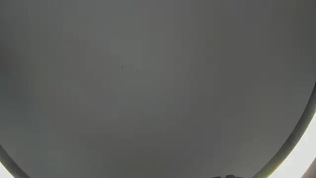 SinLickerr online show from 02-18-26, 07:43