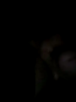 Egypt1000 online show from 03-27-26, 03:34