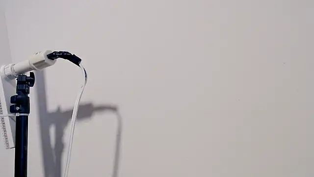 MARYXS1 online show from 02-24-26, 12:58