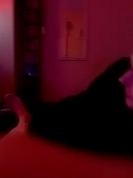 Filthyforall online show from 02-23-26, 05:49