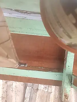 Snapshot of euchapo99 chatting on 02-19-26, 01:51 euchapo99 online show from 02-19-26, 01:51