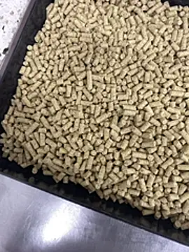 Snapshot of Elmanc chatting on 02-26-26, 08:19 Elmanc online show from 02-26-26, 08:19