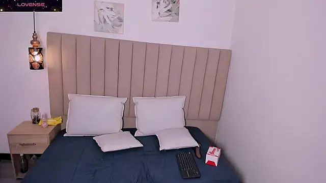 Snapshot of Dennise_Sinclair chatting on 03-01-26, 01:13 Dennise Sinclair online show from 03-01-26, 01:13