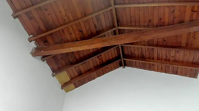 Snapshot of TonyPetrovjs chatting on 03-15-26, 07:36 TonyPetrovjs online show from 03-15-26, 07:36