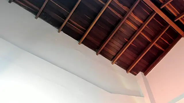 Snapshot of TonyPetrovjs chatting on 04-01-26, 04:57 TonyPetrovjs online show from 04-01-26, 04:57