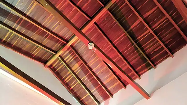 Snapshot of TonyPetrovjs chatting on 04-03-26, 06:00 TonyPetrovjs online show from 04-03-26, 06:00