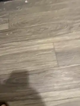 Snapshot of SavorredEscapist chatting on 02-26-26, 06:45 SavorredEscapist online show from 02-26-26, 06:45