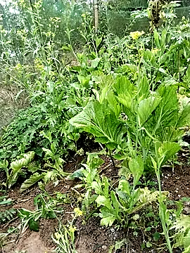 Snapshot of ngocbao11 chatting on 02-26-26, 01:04 ngocbao11 online show from 02-26-26, 01:04