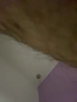 dimitri25987 online show from 04-17-26, 07:33