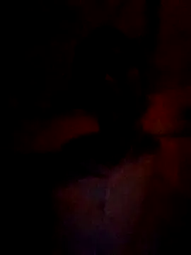 wifedesi7050 online show from 03-05-26, 04:47