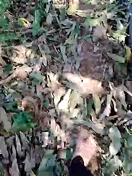 blackbeauty321 online show from 03-03-26, 09:04