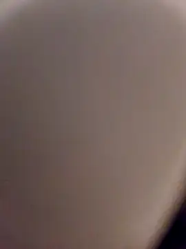 skynct2007 online show from 02-24-26, 05:38