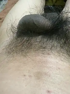 bimat1111 online show from 03-02-26, 09:54