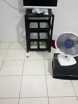 xxxputinhaxxxx online show from 02-26-26, 02:16