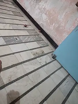 Snapshot of Tamillaxmi12 chatting on 03-07-26, 01:08 Tamillaxmi12 online show from 03-07-26, 01:08