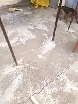 Snapshot of mylove202022 chatting on 03-15-26, 02:06 mylove202022 online show from 03-15-26, 02:06