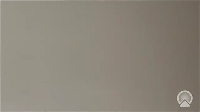 Snapshot of Shynesse21 chatting on 03-26-26, 11:38 Shynesse21 online show from 03-26-26, 11:38