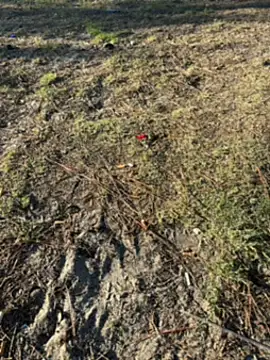 Snapshot of Kadenj92 chatting on 04-04-26, 03:20 Kadenj92 online show from 04-04-26, 03:20