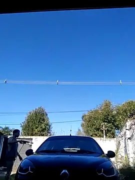 Switzerland32 online show from 04-12-26, 08:58