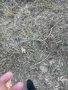 Snapshot of yingzi003 chatting on 04-07-26, 07:42 yingzi003 online show from 04-07-26, 07:42