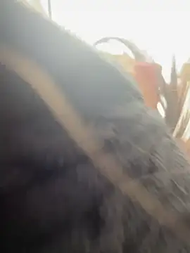 Snapshot of AlmaSajor_ chatting on 04-14-26, 01:17 AlmaSajor online show from 04-14-26, 01:17