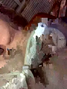 Snapshot of Latinshott chatting on 04-06-26, 04:10 Latinshott online show from 04-06-26, 04:10