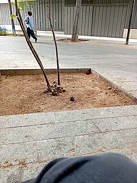 Snapshot of biga00 chatting on 04-11-26, 03:38 biga00 online show from 04-11-26, 03:38