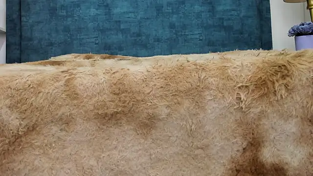 Snapshot of IsadoraVex chatting on 04-14-26, 12:44 IsadoraVex online show from 04-14-26, 12:44