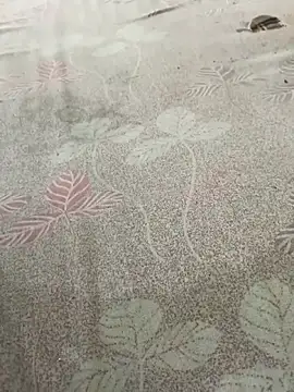 Snapshot of pujaji098 chatting on 04-13-26, 04:07 pujaji098 online show from 04-13-26, 04:07