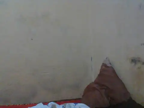 Rerpuss1 online show from 04-12-26, 08:25