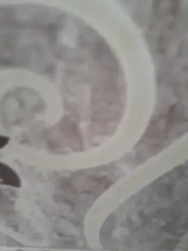 Snapshot of sk022 chatting on 04-15-26, 05:14 sk022 online show from 04-15-26, 05:14