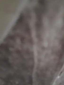 Snapshot of sk022 chatting on 04-15-26, 06:26 sk022 online show from 04-15-26, 06:26