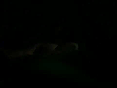 Snapshot of hunglikemeee chatting on 04-16-26, 01:17 hunglikemeee online show from 04-16-26, 01:17