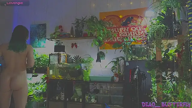 Dead Butterfly online show from 01-12-25, 03:28
