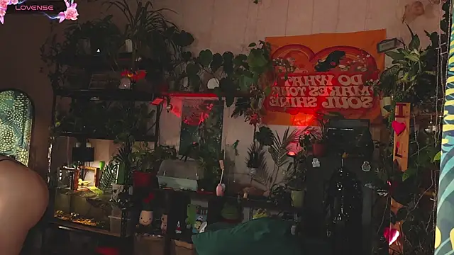 Snapshot of Dead_Butterfly chatting on 11-01-25, 03:08 Dead Butterfly online show from 11-01-25, 03:08