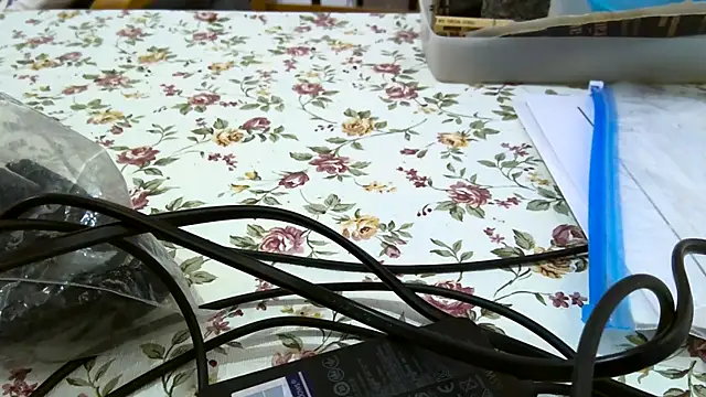 Bigjacky online show from 09-09-25, 04:39