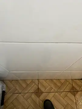 Snapshot of descret_19 chatting on 02-11-26, 02:55 descret 19 online show from 02-11-26, 02:55