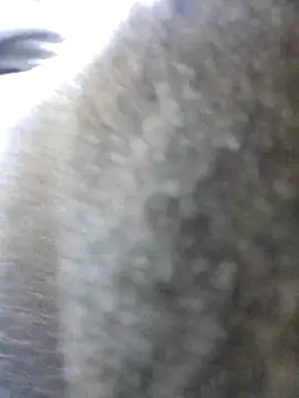 UncutHammer69 online show from 10-26-25, 11:53