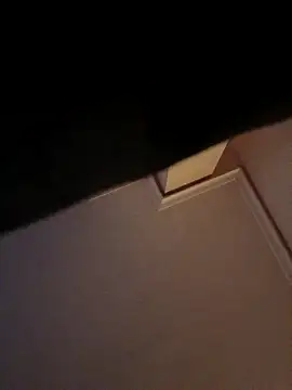 DespisedStallion online show from 11-29-25, 09:01