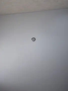 so cutes online show from 03-17-25, 12:14