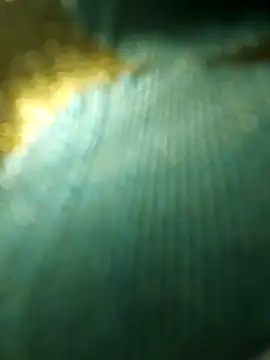 salonidesimaal online show from 12-04-24, 10:02