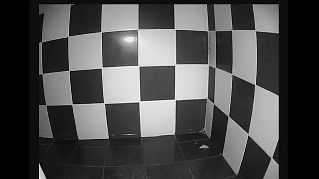 Snapshot of lysergic47 chatting on 01-28-25, 11:07 lysergic47 online show from 01-28-25, 11:07