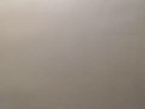 Snapshot of Bigg_Pussyy_Catt chatting on 09-19-25, 09:22 Bigg Pussyy Catt online show from 09-19-25, 09:22