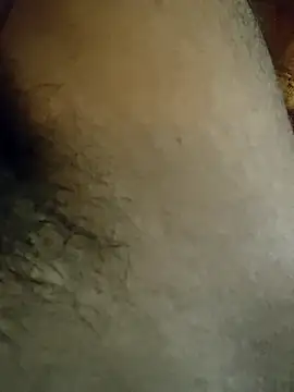 Snapshot of Samsharma1170 chatting on 01-31-25, 03:55 Samsharma1170 online show from 01-31-25, 03:55