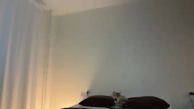 Milky   Way online show from 01-10-26, 01:57