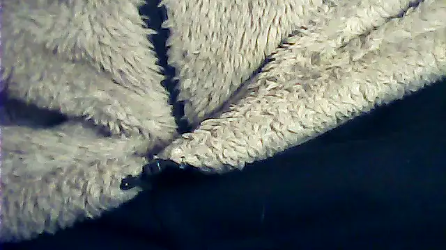 kalinixta online show from 01-06-26, 06:44