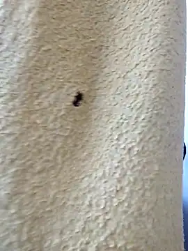 david geam online show from 03-20-26, 06:51