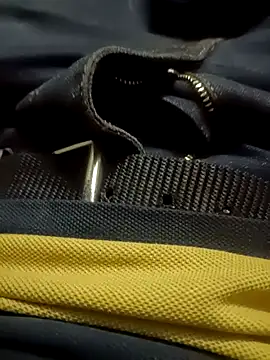 Snapshot of Javedmax chatting on 11-22-25, 12:48 Javedmax online show from 11-22-25, 12:48