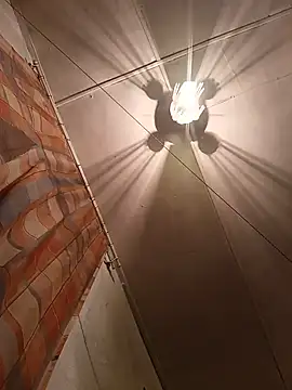 Snapshot of Cerd_Ayaz chatting on 03-02-25, 02:10 Cerd Ayaz online show from 03-02-25, 02:10