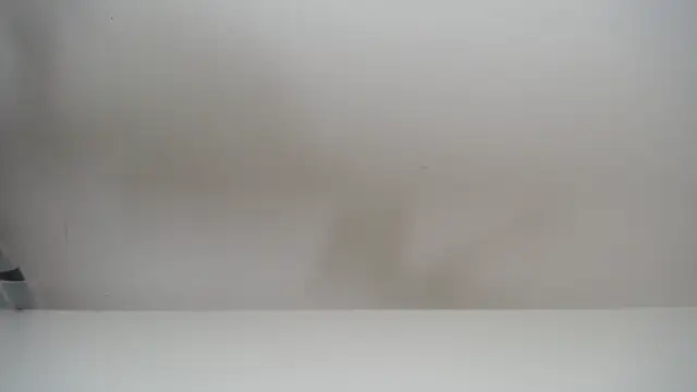 salomecastro  online show from 11-19-25, 06:30